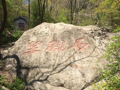 -王顺山国家森林公园