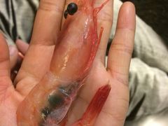 iphone_upload_pic-清水日本料理铁板烧(学府路店)