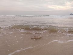 -西涌国际滨海旅游区