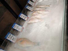 -闽海肴(北辰荟店)