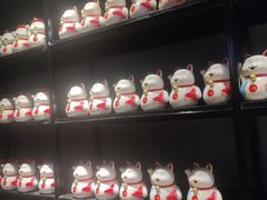 -舒来喜鱼锅(伊河路店)