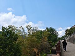 -秦巴石锅鱼(文化南路店)