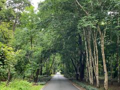 -中国科学院西双版纳热带植物园