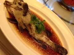 -白云中餐厅·粤菜·亚龙湾喜来登度假酒店