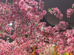 -一块豆腐·海鲜·家常菜(李沧书院路店)