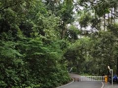 -三门江国家森林公园