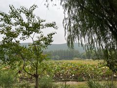 -云龙湖旅游景区