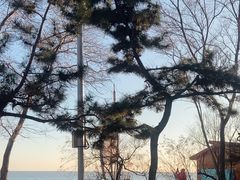-北戴河东海水浴场
