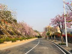 -小南山公园