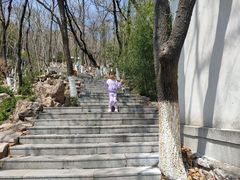 -石老人观光园