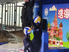 -成都浩海立方海洋公园