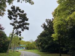 -上海滨江森林公园