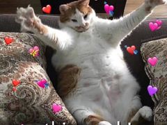 -海底捞火锅(群光广场店)