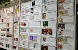 -小鬼当佳儿童摄影(回龙观店)