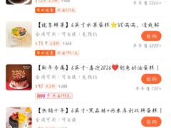 -维尔纳斯·生日蛋糕·动物奶油冰淇淋蛋糕(雨花店)