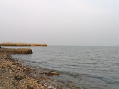 -贡湖湾湿地公园