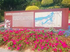 -五缘湾湿地公园