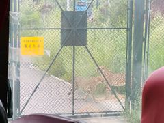 -太原动物园