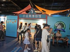 -海合安武汉极地海洋公园