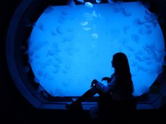 -沈阳海洋探索中心