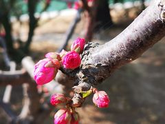-颐和园