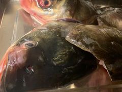 -冯鱼头火锅(青蓝山美食一条街店)