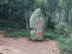 -上海佘山国家森林公园天马山园