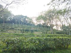 -广州市白云山风景名胜区