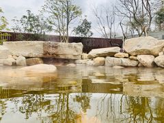 -太阳岛度假酒店