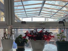 -北京龙庆四季香农家饭庄·灶台鱼·碳烤虹鳟鱼(龙庆峡店)