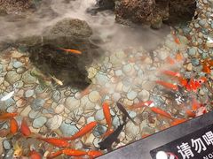 -万荣烤鸭店·北京菜(天坛店)