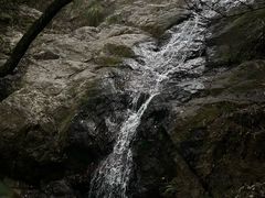 -东天目山风景区