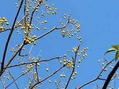 -盘龙城国家考古遗址公园