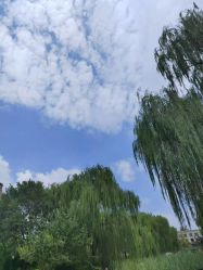 点击看大图 -宝馨月月子中心(友谊医院店)