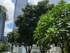 -奈雪的茶(中储能店)