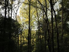 -杭州植物园