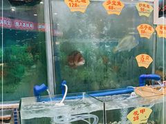 水产区-朱仔记食府(江南大道店)