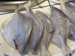 -鼎伙伙火锅串串·10年品牌传承(白象居总店)