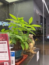 -京世沙龙