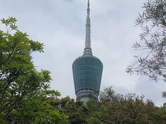 -梧桐山风景名胜区