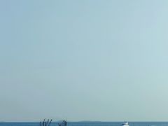 -小麦岛公园