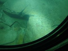 -白鹤梁水下博物馆
