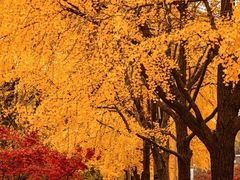 -太平禅寺