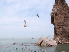 -海驴岛(荣成市)