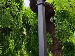 -南京钟山宾馆(江苏省会议中心)