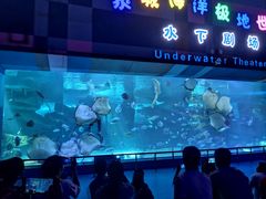 -泉城欧乐堡海洋极地世界