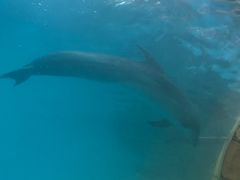 -波塞冬旅游度假区