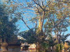 -一寨两国风景区