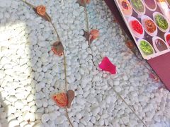 -慢丽江·云南野生菌土鸡锅(西山店)