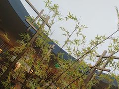 -江南里·新浙菜(苏州大悦城店)